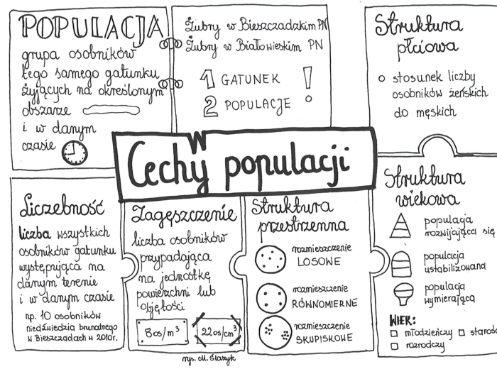 Klasa 8. Biologia. Cechy populacji