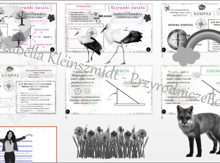 Mini zestaw do tematu „Określamy kierunki geograficzne”– 3 x sketchnotka + 3 x karta pracy + gratisowe linki do prezentacji multimedialnych niekomercyjnych wykonanych w genial.ly do indywidualnego pobrania i użycia do celów niekomercyjnych. Przyroda 4, d