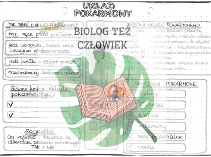 PRZYRODA - Ciało człowieka - Układ pokarmowy - szarość