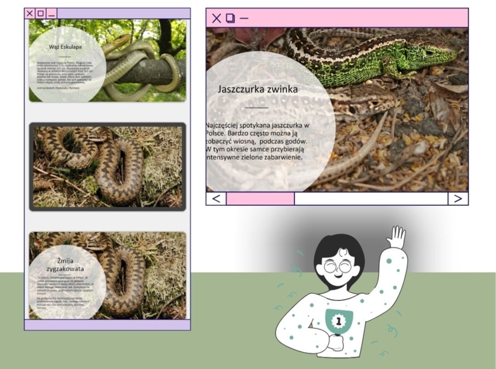 Przegląd kręgowców zmiennocieplnych