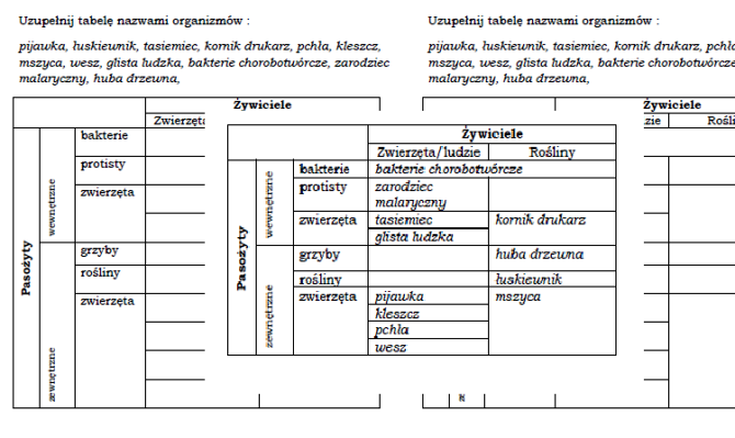 Pasożyty zewnętrzne i wewnętrzne - zadanie z biologii dla klasy 8