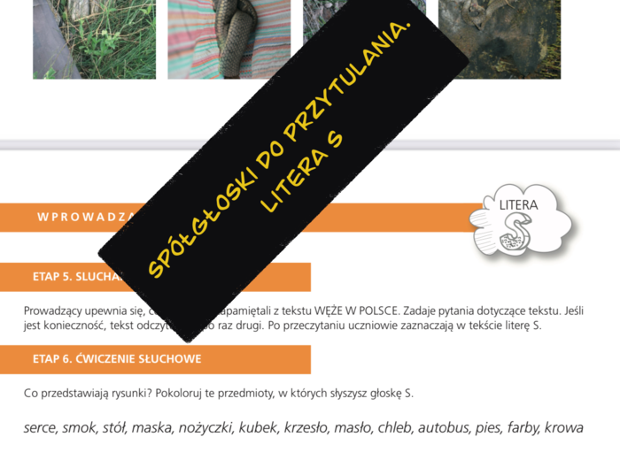 Spółgłoski do przytulania. Monografia litery S