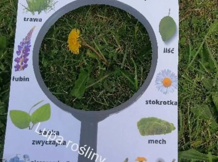 Wiosenne lupy i karty spaceru