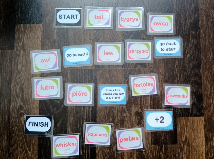 Together 5: Unit 5 – Kompletny Zestaw Kart Memory (98 kart!)