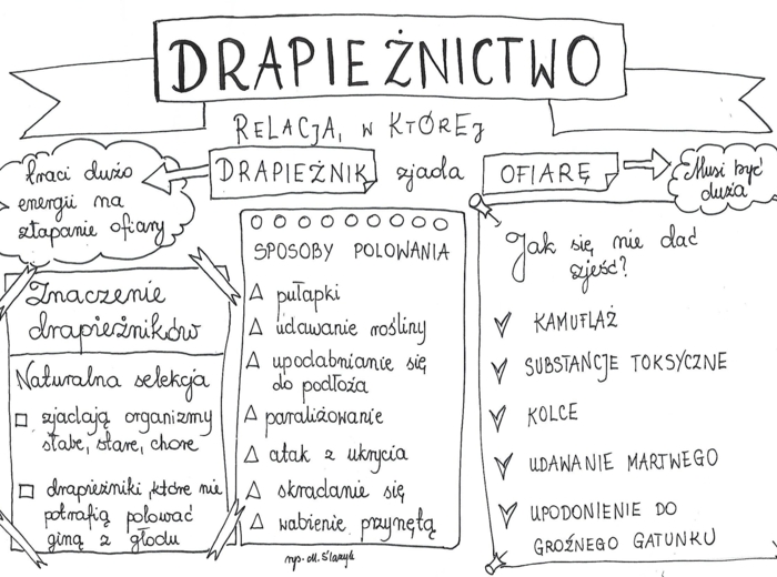 Klasa 8. Biologia. Drapieżnictwo.