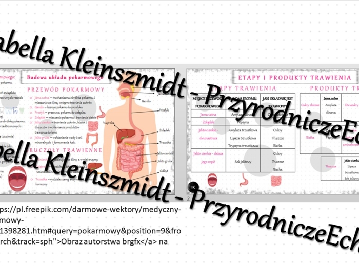 Sketchnotka - notatka „Budowa układu pokarmowego” wykonana w power point do edycji. Biologia 7; „Układ pokarmowy”