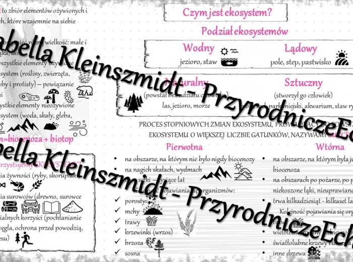 Sketchnotka - notatka „Czym jest ekosystem?” wykonana w power point do edycji. Biologia 8; „EKOLOGIA”