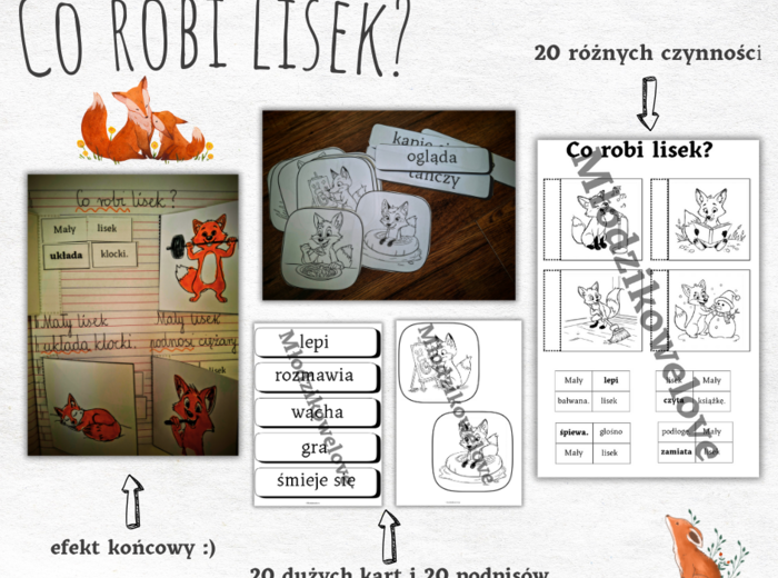 Co robi lisek? Wprowadzamy czasowniki