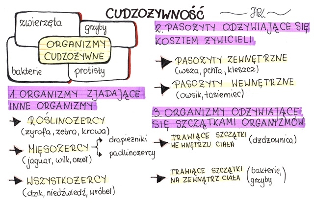 Cudzożywność (sketchnotka)