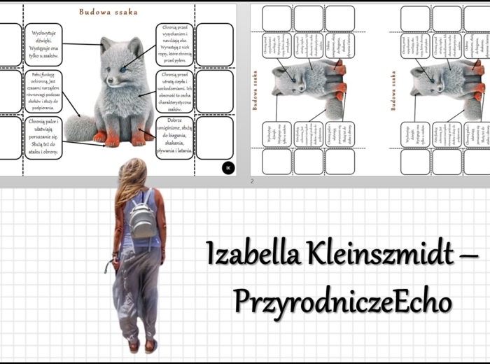 Notatka okienkowa „Budowa ssaka” w pdf. „Ssaki - kręgowce, które karmią mlekiem młode”, Biologia 6 dział „Kręgowce stałocieplne”.