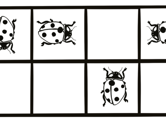 Zestaw ćwiczeń - przeciwieństwa, percepcja wzrokowa, orientacja