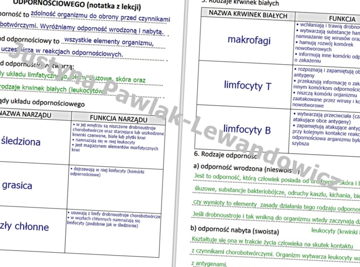 Budowa i funkcjonowanie układu odpornościowego (gotowa notatka)
