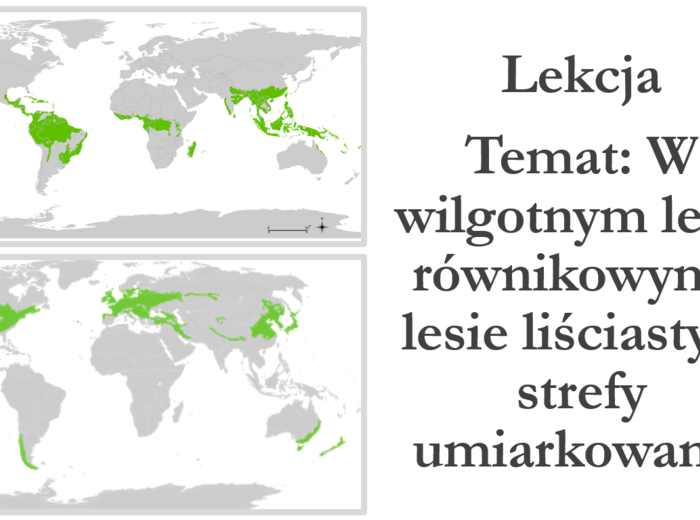 Klasa 5 - W wilgotnym lesie równikowym i lesie liściastym strefy umiarkowanej - prezentacja