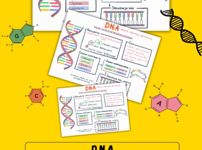 DNA – sketchnotka - wklejka | Biologia | klasa 8