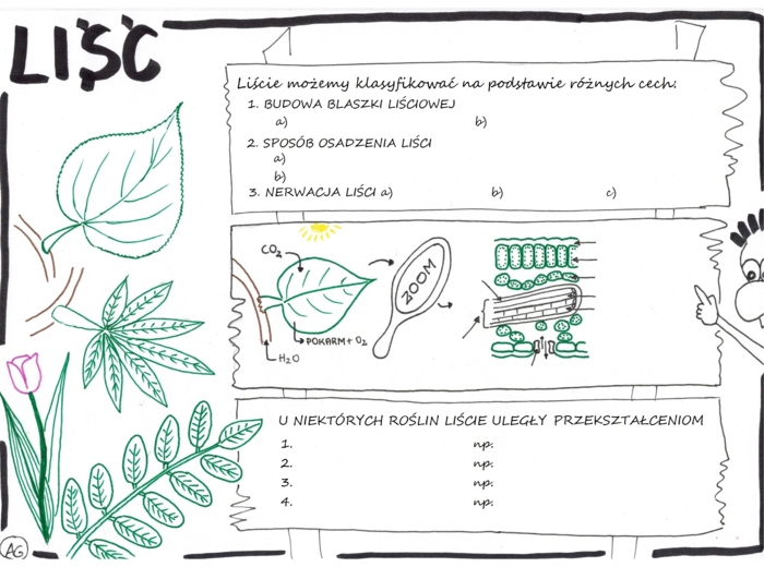 Liść - Karta pracy