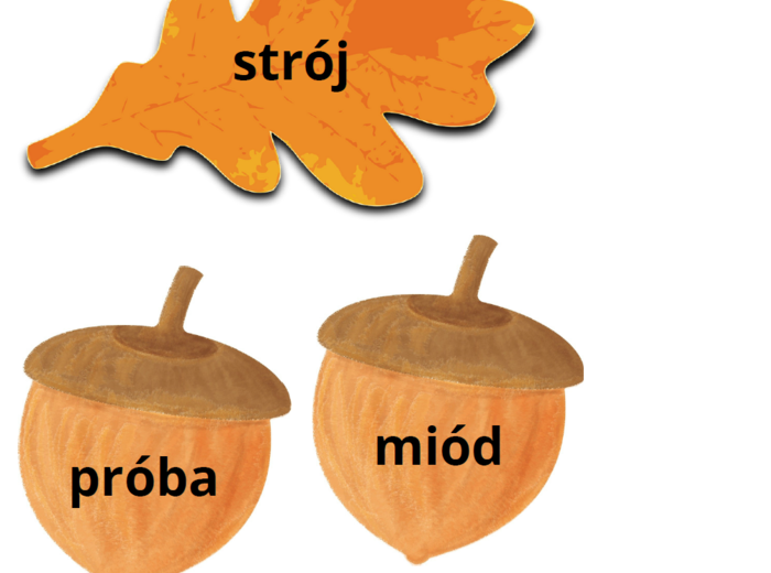 Ortografia z wiewiórką – dekoracja i utrwalenie