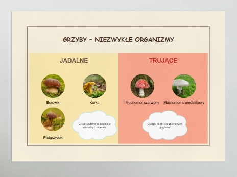 Plakaty. Różnorodność gatunkowa zwierząt, roślin i grzybów.