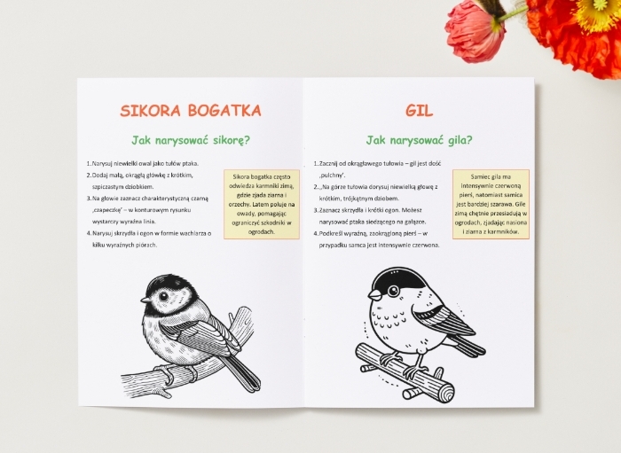 Kolorowanki z roślinami i zwierzętami. Gatunki ptaków, ssaków i drzew