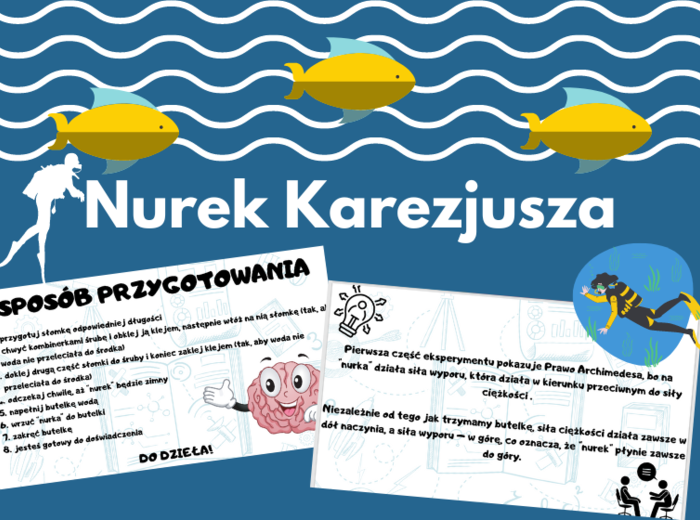 Nurek Kartezjusza