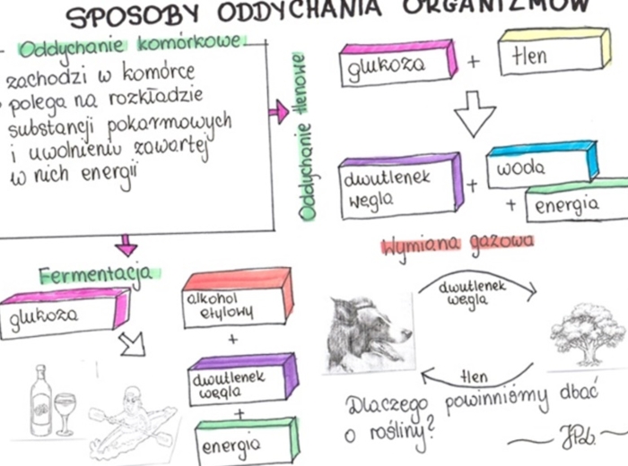 Sposoby oddychania organizmów (KP 1 uzupełniona)