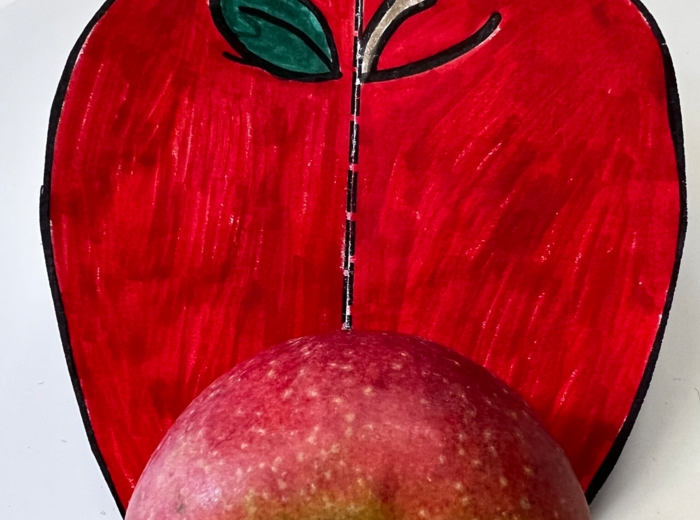 Cykl życia jabłoni