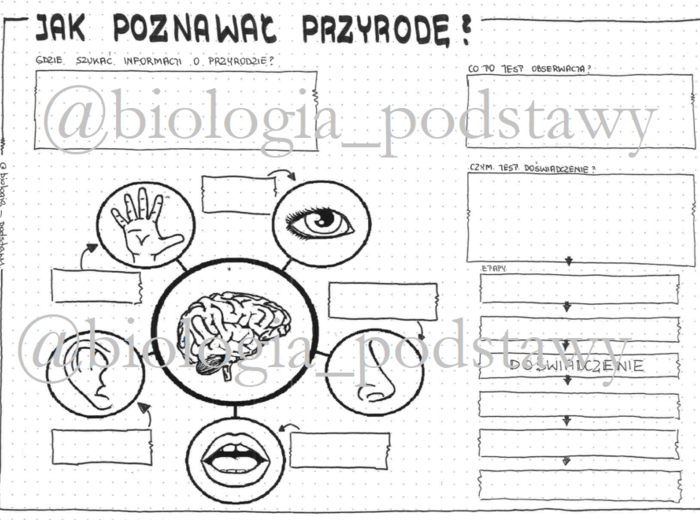Klasa 4 - Jak poznawać przyrodę - KP
