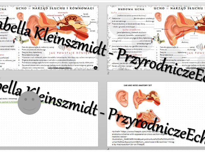 Minizestaw na temat „Ucho - narząd słuchu i równowagi” – sketchnotka + karta pracy w power point + gratisowy link do prezentacji multimedialnej niekomercyjnej wykonanej w genial.ly do indywidualnego pobrania i użycia do celów niekomercyjnych. Biologia 7,