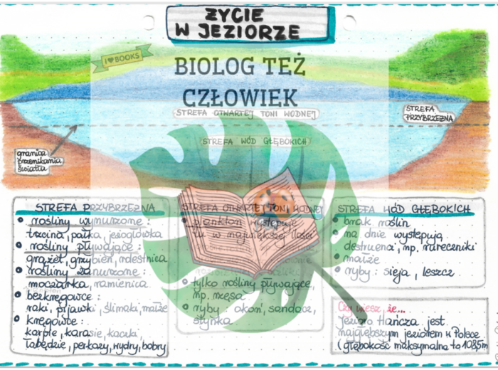 Życie w jeziorze - kolor