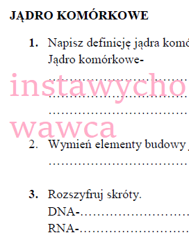 Jądro komórkowe - karta pracy