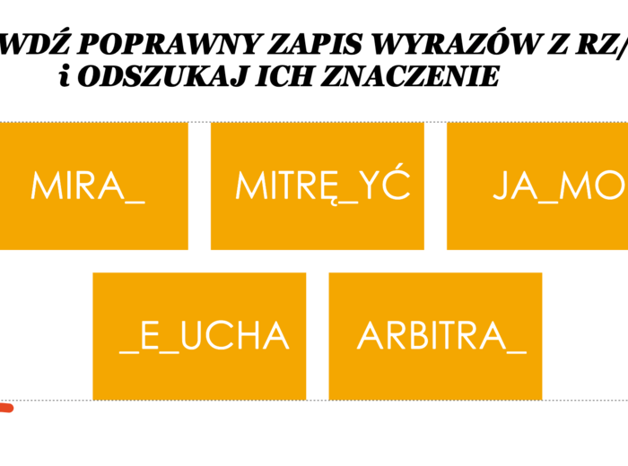 GRYWALIZACJA - praca ze słownikami