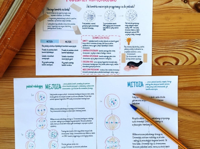 Podziały komórkowe – sketchnotka – wklejka | Biologia | klasa 8