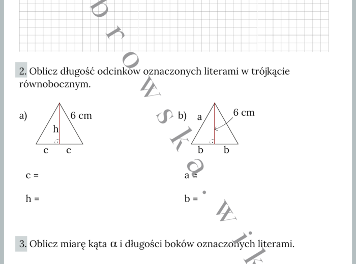 Trójkąty prostokątne i równoboczne - karta pracy