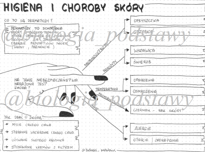 Klasa 7 - Higiena i choroby - sketchnotka
