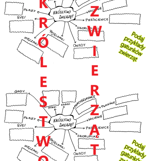 KRÓLESTWO ZWIERZĄT - wklejka, sketchnotka