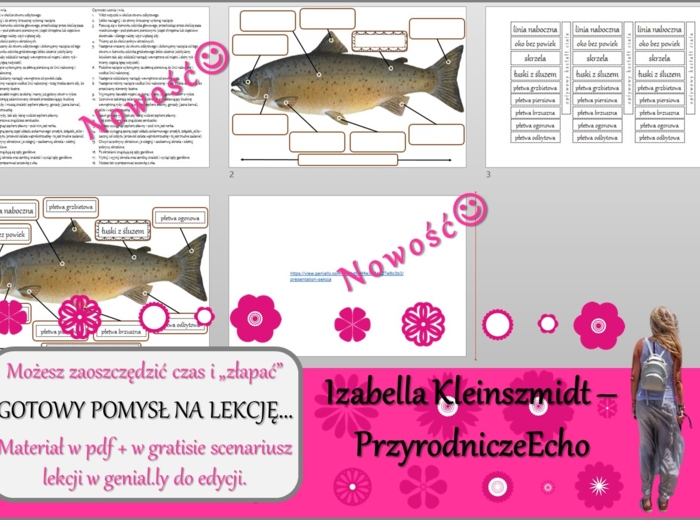 Pomysł na lekcję/karta pracy/stacje zadaniowe/ materiał do lekcji do tematu „Ryby-kręgowce środowisk wodnych – sekcja ryby” w pdf. W gratisie niekomercyjny scenariusz lekcji/pomysł na lekcję w programie genial.ly do edycji. Biologia 6. Dział „Kręgowce zm