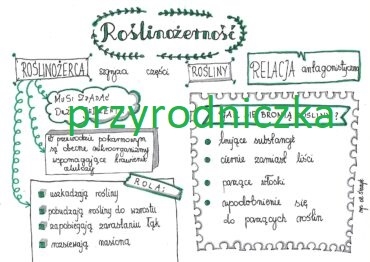 Klasa 8. Biologia. Roślinożerność