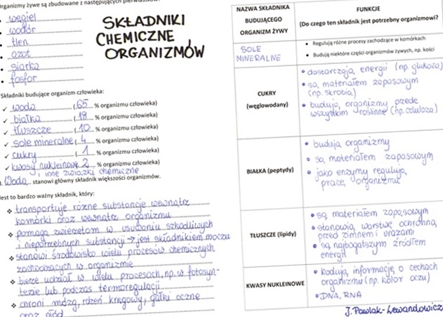 Składniki chemiczne organizmów - sketchnotka