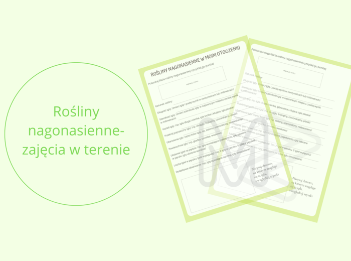 Karta pracy - rośliny nagonasienne w moim otoczeniu