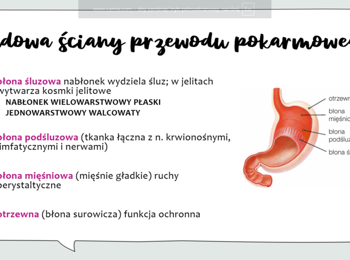 KLASA 3 rozszerzenie - PAKIET NA CAŁY ROK