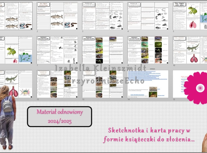 Zestaw sketchnotek i kart pracy + gratisowe linki do prezentacji multimedialnych niekomercyjnych wykonanych w genial.ly do indywidualnego pobrania i użycia do celów niekomercyjnych. Biologia 6, „Kręgowce zmiennocieplne”