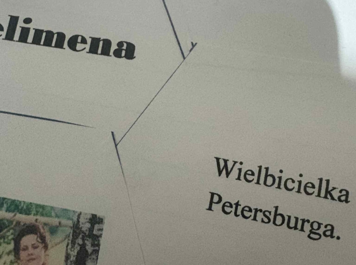 Pan Tadeusz w plastrach miodu.