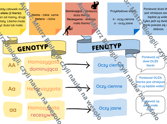 Wstęp do zadań z genetyki