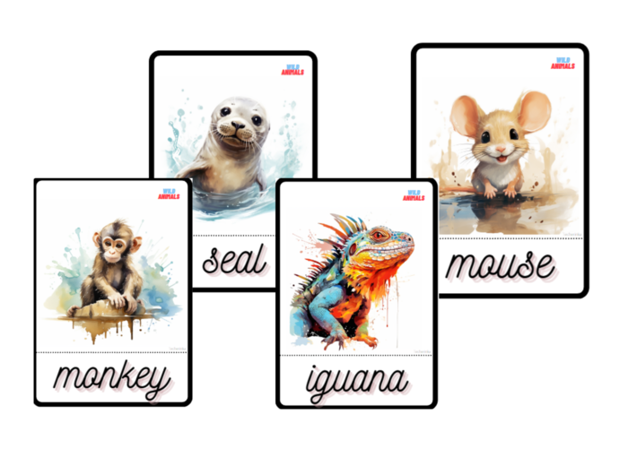 Karty Obrazkowe Dzikie zwierzęta Wild Animals