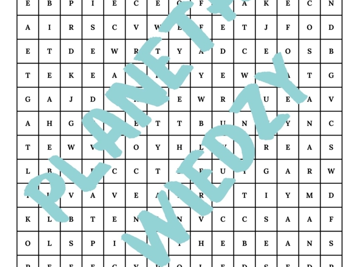 Najpopularniejsze angielskie idiomy – Karta pracy dla uczniów, Ćwiczenia zwrotów - język angielski, (poziom A2, szkoła podstawowa), PDF do druku