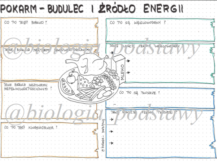 Klasa 7 - Pokarm budulec i źródło energii