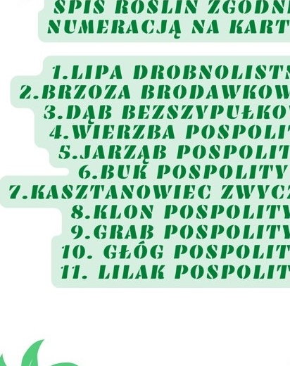 Szybkie rączki - drzewa liściaste