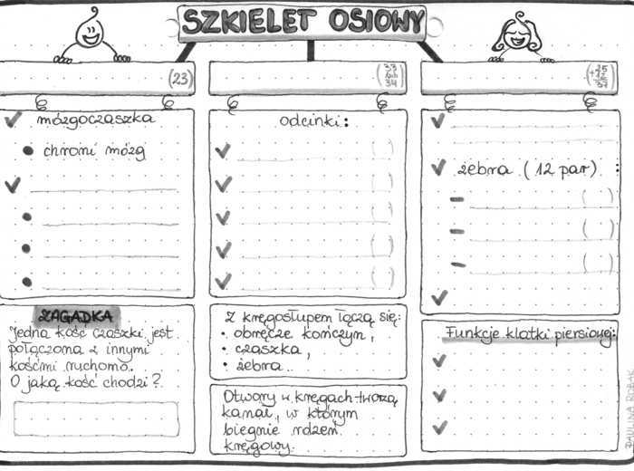 Szkielet osiowy - klasa 7 - szarość