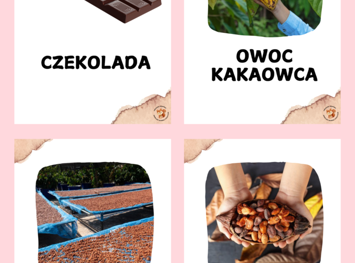 DZIEŃ CZEKOLADY