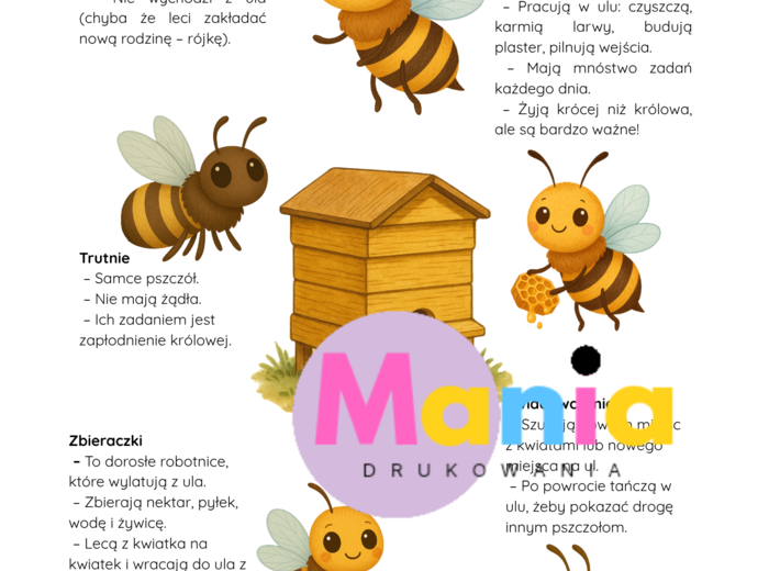 Światowy Dzień Pszczół