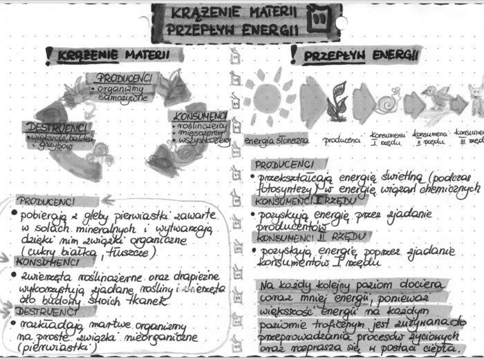 Krążenie materii i przepływ energii - EKOLOGIA - szarość